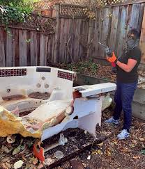 Shed Removal in Delhi, LA
